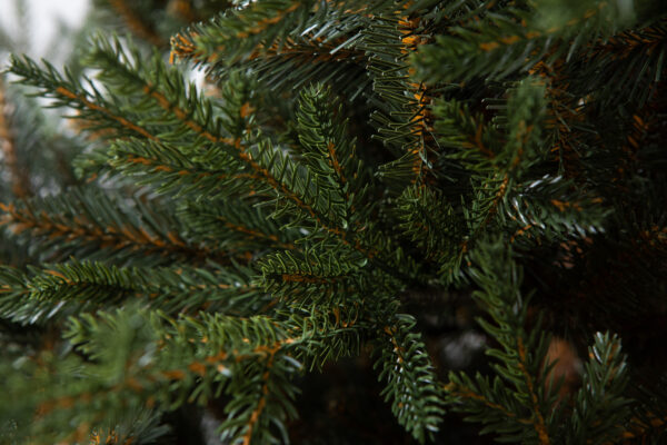 Norwegian Spruce PE Artificial Christmas Tree Ireland