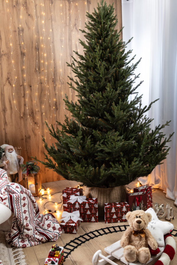 Norwegian Spruce PE Artificial Christmas Tree Ireland