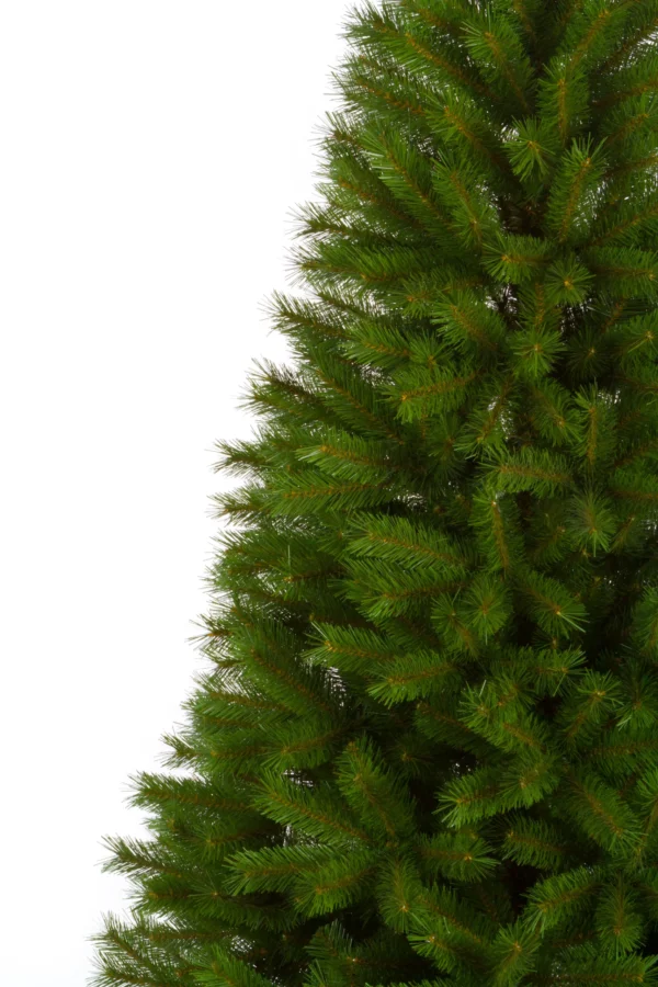 Caucasian Spruce PVC - Image 2