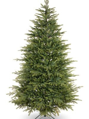 Alaskan Evergreen Spruce PE