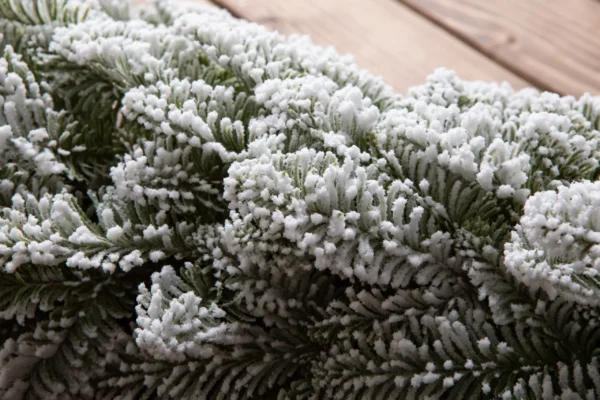 Nobile’s Fir Snow Covered PE Wreath - Image 5