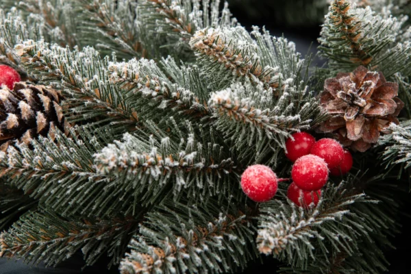 Siberian Frosted Spruce with Holly PVC Wreath - Image 4