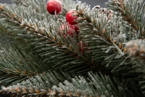 Siberian Frosted Spruce with Holly PVC Wreath - Image 5