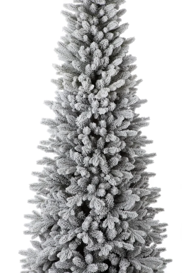 Snowy Slim Spruce PE - Image 2