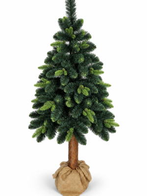 Sonia Green Pine on Trunk