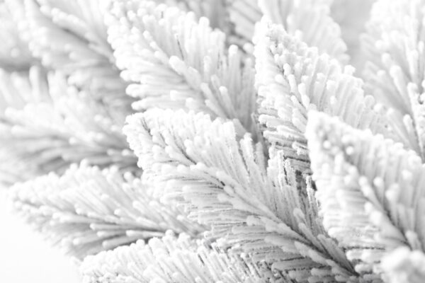 Nobile’s Fir Snow Covered PVC Christmas wreath Ireland